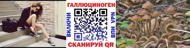 Псилоцибиновые грибы Magic Shrooms  как найти   Нюрба 